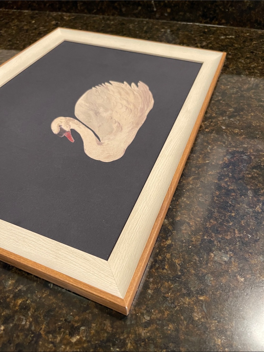 Framed Swan Artwork - Cream Swan on Dark Backgroundy - Picture 14 of 14